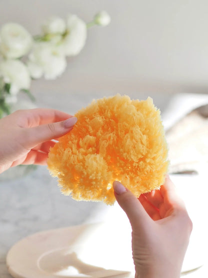 Natural Sea Sponge