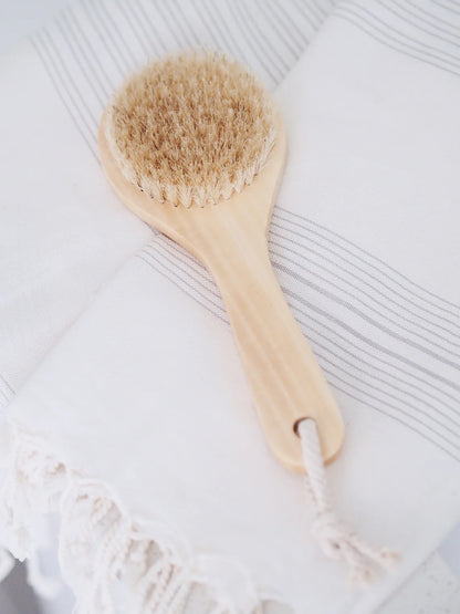 Body Dry Brush