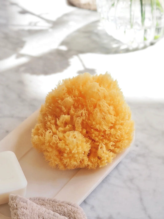 Natural Sea Sponge